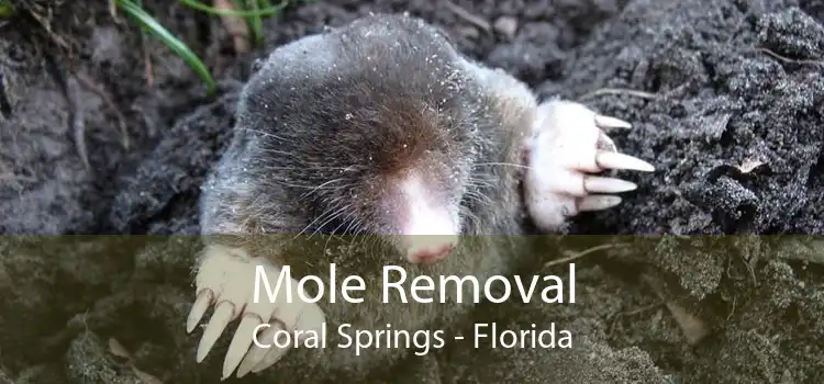 Mole Removal Coral Springs - Florida