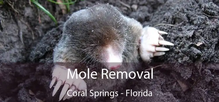 Mole Removal Coral Springs - Florida