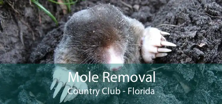 Mole Removal Country Club - Florida