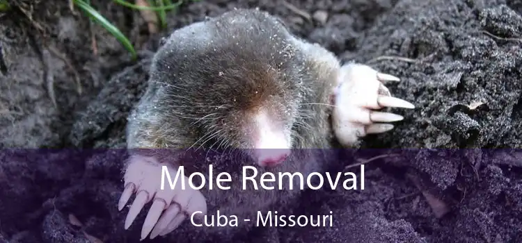 Mole Removal Cuba - Missouri