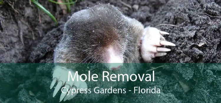 Mole Removal Cypress Gardens - Florida