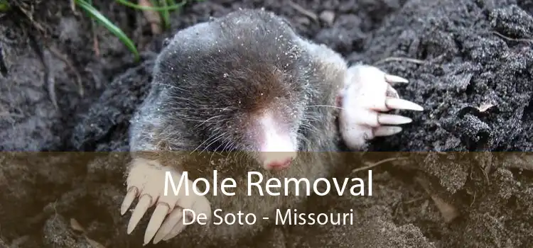 Mole Removal De Soto - Missouri