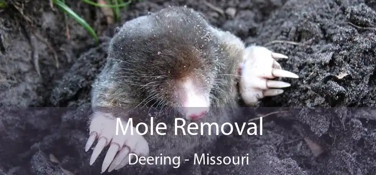 Mole Removal Deering - Missouri