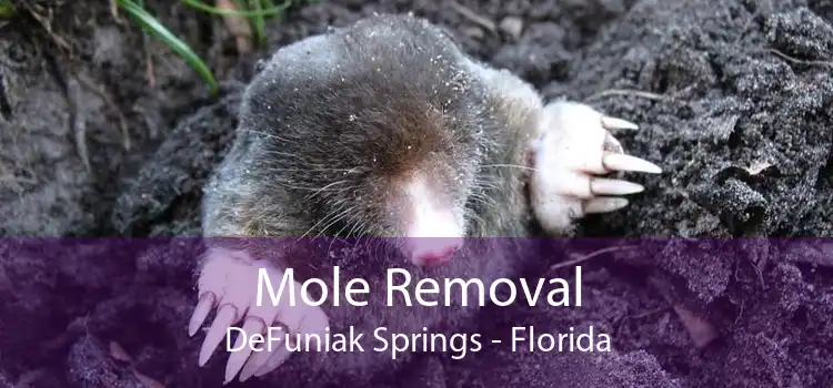 Mole Removal DeFuniak Springs - Florida