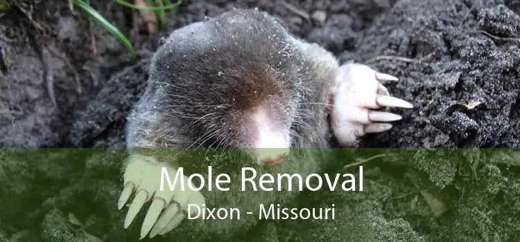 Mole Removal Dixon - Missouri