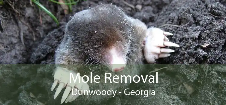 Mole Removal Dunwoody - Georgia
