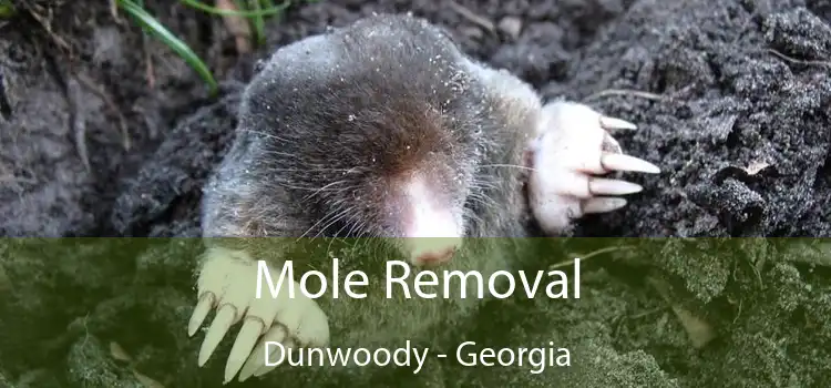 Mole Removal Dunwoody - Georgia