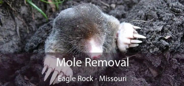 Mole Removal Eagle Rock - Missouri