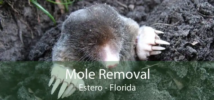 Mole Removal Estero - Florida