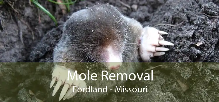Mole Removal Fordland - Missouri