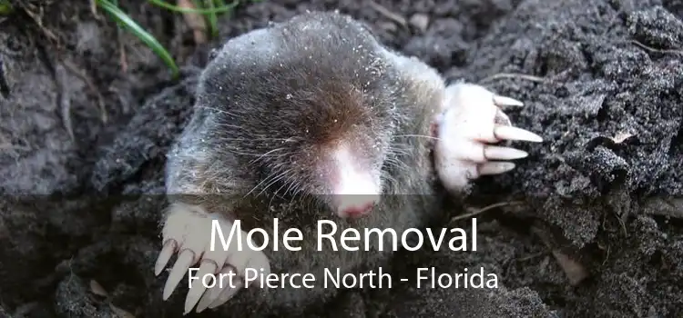 Mole Removal Fort Pierce North - Florida