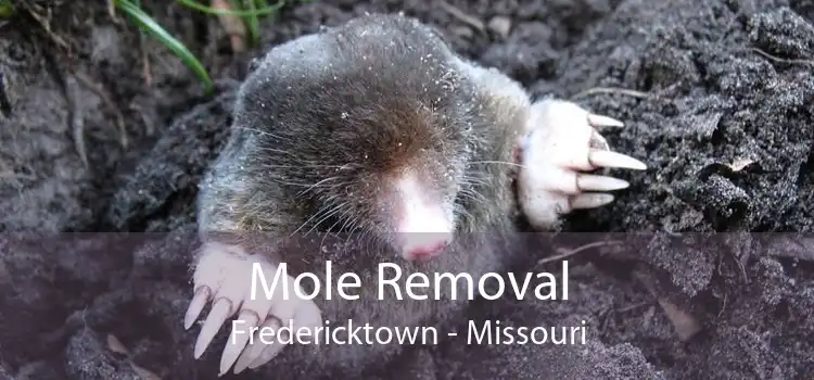 Mole Removal Fredericktown - Missouri