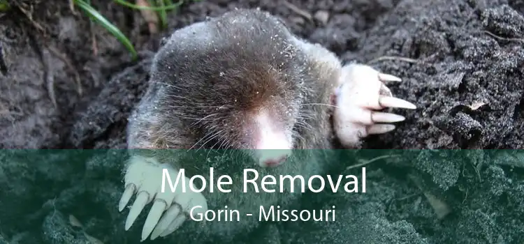 Mole Removal Gorin - Missouri