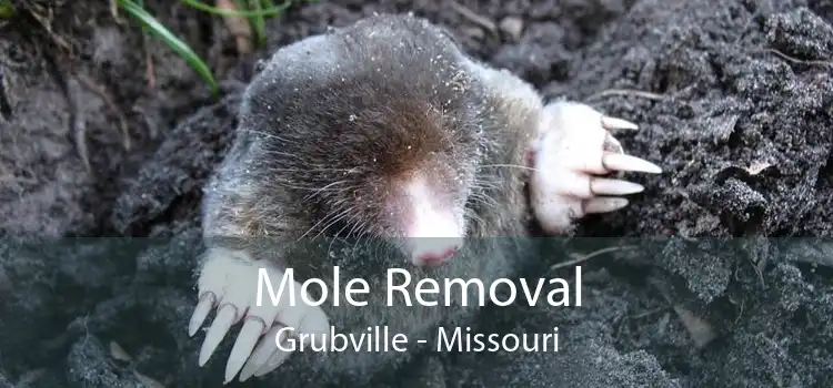 Mole Removal Grubville - Missouri