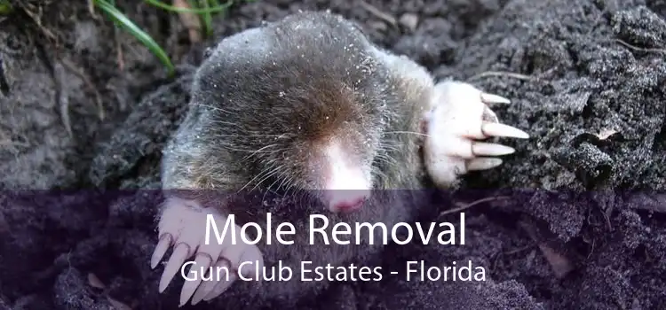 Mole Removal Gun Club Estates - Florida