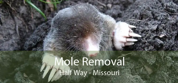 Mole Removal Half Way - Missouri