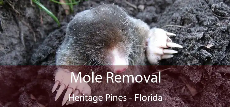 Mole Removal Heritage Pines - Florida