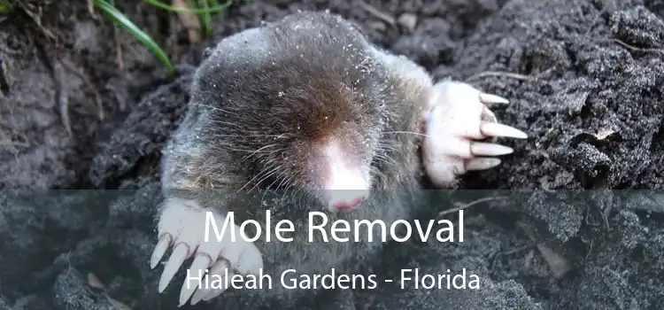 Mole Removal Hialeah Gardens - Florida