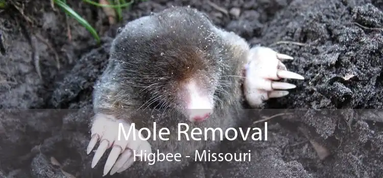 Mole Removal Higbee - Missouri