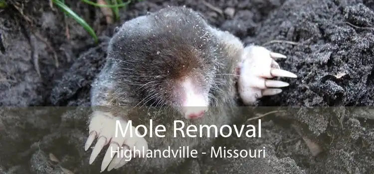 Mole Removal Highlandville - Missouri