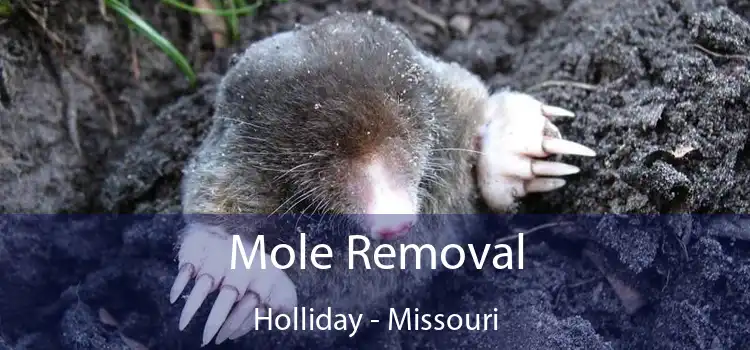 Mole Removal Holliday - Missouri