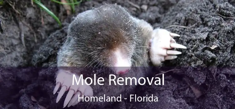 Mole Removal Homeland - Florida