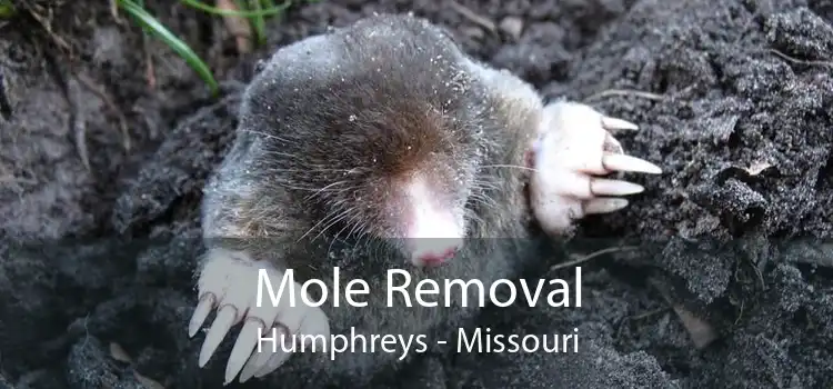 Mole Removal Humphreys - Missouri