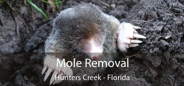 Mole Removal Hunters Creek - Florida