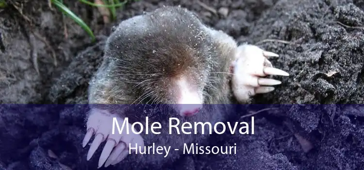 Mole Removal Hurley - Missouri