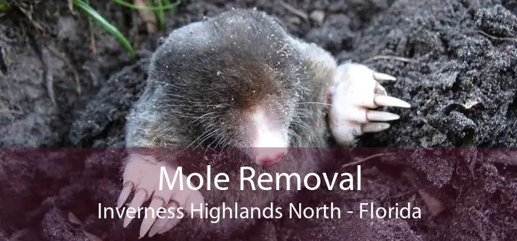 Mole Removal Inverness Highlands North - Florida