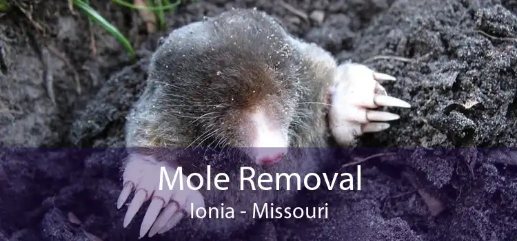 Mole Removal Ionia - Missouri
