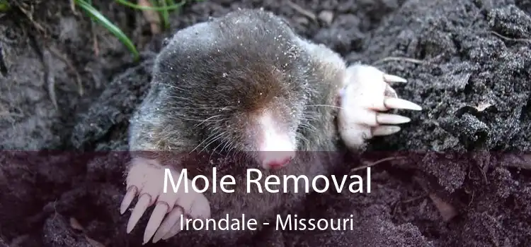 Mole Removal Irondale - Missouri