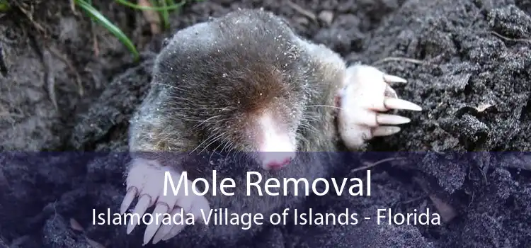 Mole Removal Islamorada Village of Islands - Florida