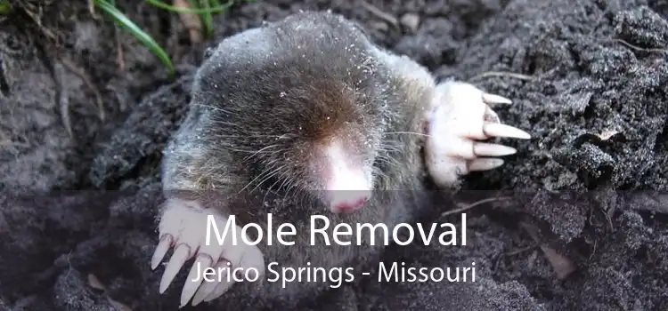 Mole Removal Jerico Springs - Missouri