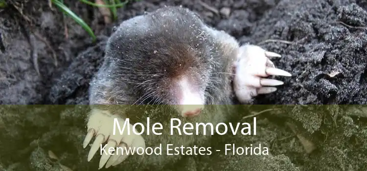 Mole Removal Kenwood Estates - Florida