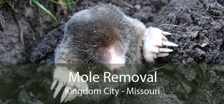 Mole Removal Kingdom City - Missouri