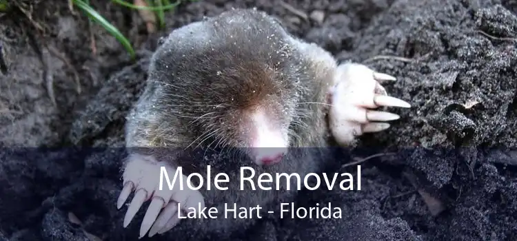 Mole Removal Lake Hart - Florida