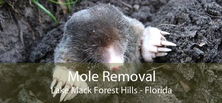 Mole Removal Lake Mack Forest Hills - Florida