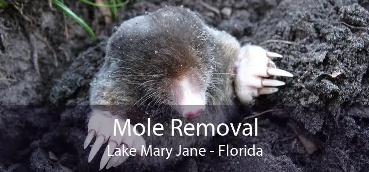 Mole Removal Lake Mary Jane - Florida