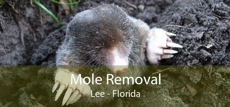 Mole Removal Lee - Florida