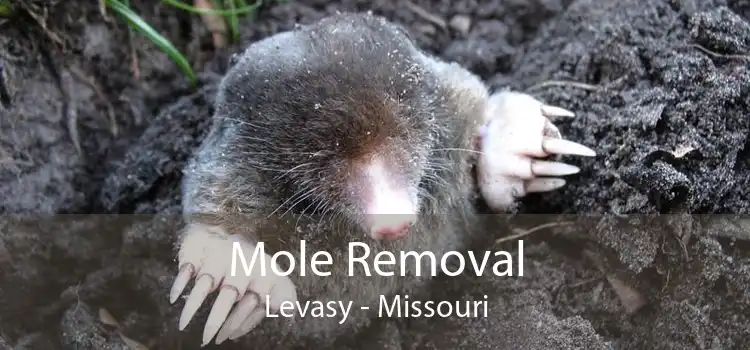 Mole Removal Levasy - Missouri