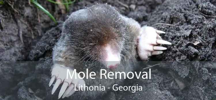 Mole Removal Lithonia - Georgia