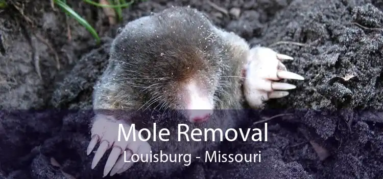 Mole Removal Louisburg - Missouri