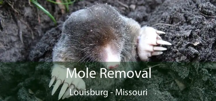 Mole Removal Louisburg - Missouri