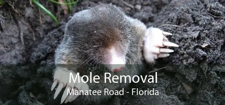 Mole Removal Manatee Road - Florida