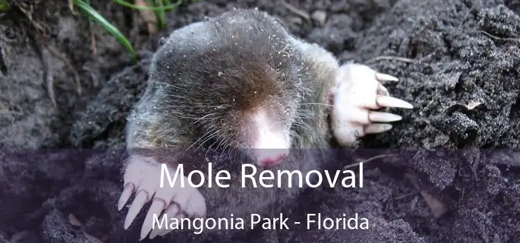 Mole Removal Mangonia Park - Florida