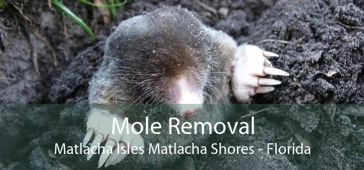 Mole Removal Matlacha Isles Matlacha Shores - Florida
