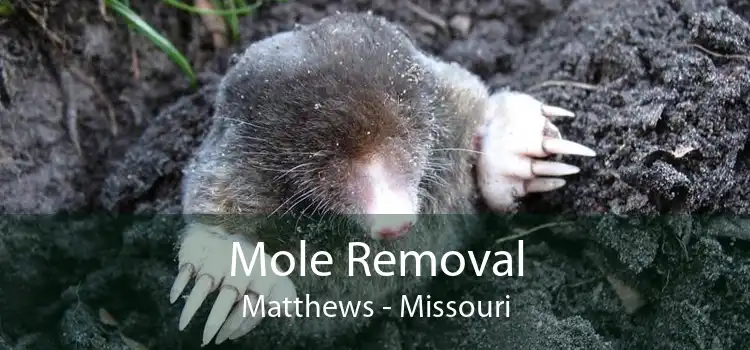 Mole Removal Matthews - Missouri