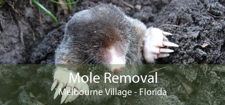 Mole Removal Melbourne Village - Florida