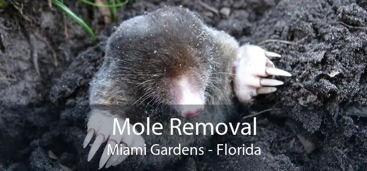 Mole Removal Miami Gardens - Florida